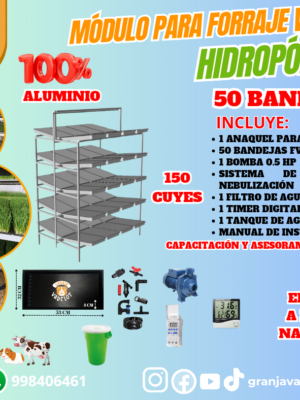 MÓDULO FVH 50 BANDEJAS