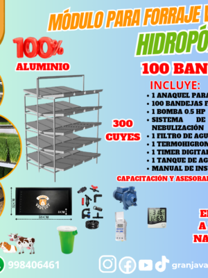 MÓDULO FVH 100 BANDEJAS